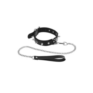 Нашийник з повідцем Fetish Tentation Spikes and Leash