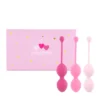 Зображення Набір вагінальних кульок для просунутих FeelzToys - FemmeFit Advanced Pelvic Muscle Training Set