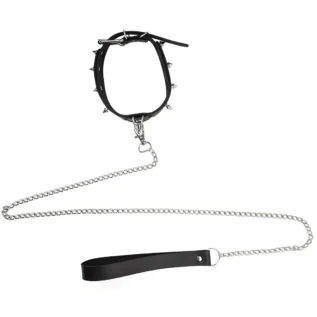 Нашийник з шипами та повідцем Art of Sex - Collar Spikes and Leash 13 Нашийник з шипами та повідцем Art of Sex - Collar Spikes and Leash - Зображення 5