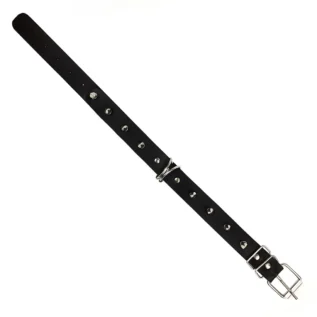Нашийник з шипами та повідцем Art of Sex - Collar Spikes and Leash 12 Нашийник з шипами та повідцем Art of Sex - Collar Spikes and Leash - Зображення 4