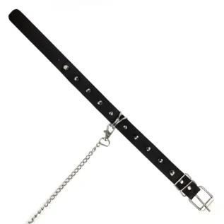 Нашийник з шипами та повідцем Art of Sex - Collar Spikes and Leash 15 Нашийник з шипами та повідцем Art of Sex - Collar Spikes and Leash - Зображення 7