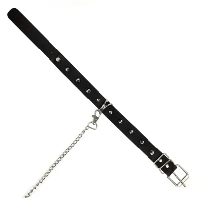 Нашийник з шипами та повідцем Art of Sex - Collar Spikes and Leash 15 Зображення Нашийник з шипами та повідцем Art of Sex - Collar Spikes and Leash