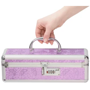 Зображення Кейс для зберігання секс-іграшок BMS Factory - The Toy Chest Lokable Vibrator Case