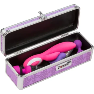 Зображення Кейс для зберігання секс-іграшок BMS Factory - The Toy Chest Lokable Vibrator Case