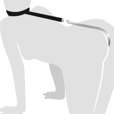 Зображення Анальний гак 3 із нашийником з натуральної шкіри Art of Sex - Anal hook