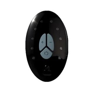 Запасний пульт ДК Adrien Lastic LRS (Lastic remote system) + cable