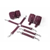 Набір для БДСМ 3 в 1 Feral Feelings BDSM Kit 3 Burgundy