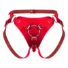 Зображення Труси для страпона Feral Feelings Strap-on Harness red