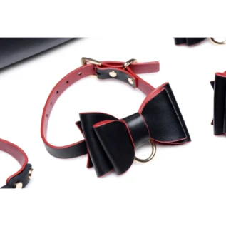 Зображення Набір БДСМ з дорожньою сумкою Master Series: Bow — Luxury BDSM Set With Travel Bag