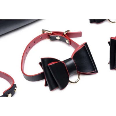 Зображення Набір БДСМ з дорожньою сумкою Master Series: Bow — Luxury BDSM Set With Travel Bag