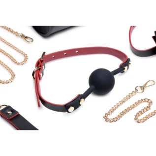 Зображення Набір БДСМ з дорожньою сумкою Master Series: Bow — Luxury BDSM Set With Travel Bag
