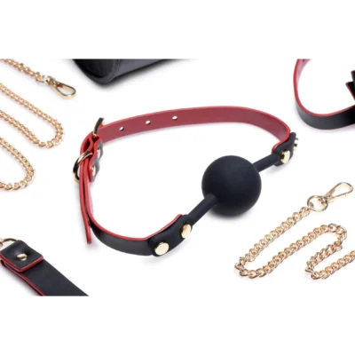 Зображення Набір БДСМ з дорожньою сумкою Master Series: Bow — Luxury BDSM Set With Travel Bag