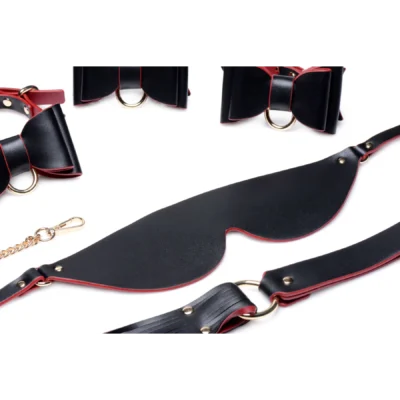 Зображення Набір БДСМ з дорожньою сумкою Master Series: Bow — Luxury BDSM Set With Travel Bag
