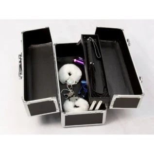 Зображення Великий кейс для зберігання секс-іграшок BMS Factory Large Lokable Vibrator Case