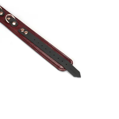 Зображення Шкіряний нашийник з повідцем Liebe Seele Wine Collar and Leash