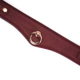 Шкіряний нашийник з повідцем Liebe Seele Wine Curved Collar 19 Зображення Шкіряний нашийник з повідцем Liebe Seele Wine Curved Collar