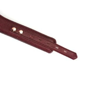 Шкіряний нашийник з повідцем Liebe Seele Wine Curved Collar 18 Зображення Шкіряний нашийник з повідцем Liebe Seele Wine Curved Collar