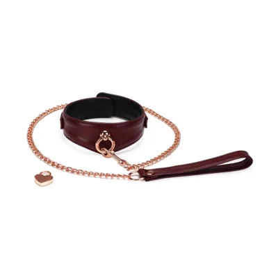 Шкіряний нашийник з повідцем Liebe Seele Wine  Curved Collar