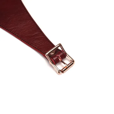 Зображення Шкіряні трусики для страпона Liebe Seele Wine Strap on Harness
