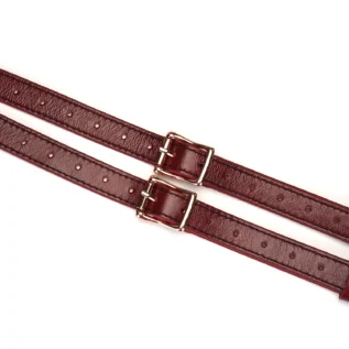 Шкіряні трусики для страпона Liebe Seele Wine Strap on Harness 17 Зображення Шкіряні трусики для страпона Liebe Seele Wine Strap on Harness