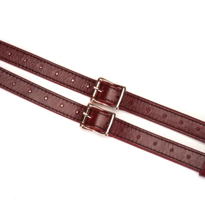Зображення Шкіряні трусики для страпона Liebe Seele Wine Strap on Harness