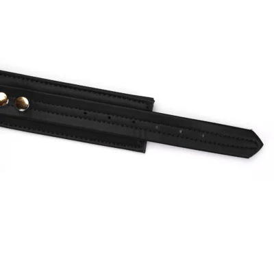 Зображення Нашийник з повідцем Liebe Seele Organosilicon Collar with Leash