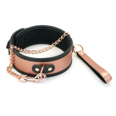 Широкий нашийник з повідцем Liebe Seele  Gold Memory Collar with Leash