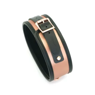 Широкий нашийник з повідцем Liebe Seele Gold Memory Collar with Leash 14 Зображення Широкий нашийник з повідцем Liebe Seele Gold Memory Collar with Leash