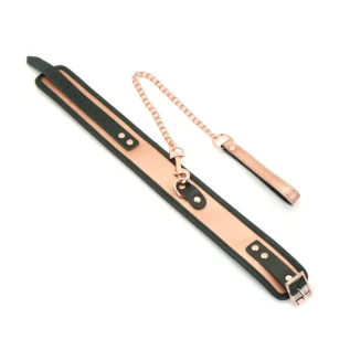Alternative view of Широкий нашийник з повідцем Liebe Seele  Gold Memory Collar with Leash