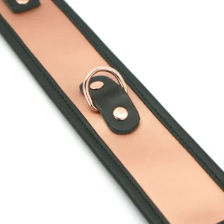 Широкий нашийник з повідцем Liebe Seele Gold Memory Collar with Leash 18 Зображення Широкий нашийник з повідцем Liebe Seele Gold Memory Collar with Leash