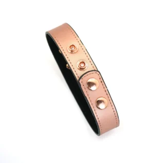 Нашийник із затискачами для сосків Liebe Seele Gold Memory Collar with Nipple Clamps 24 Нашийник із затискачами для сосків Liebe Seele Gold Memory Collar with Nipple Clamps - Зображення 11