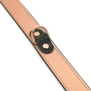 Нашийник із затискачами для сосків Liebe Seele Gold Memory Collar with Nipple Clamps 18 Нашийник із затискачами для сосків Liebe Seele Gold Memory Collar with Nipple Clamps - Зображення 5