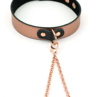 Нашийник із затискачами для сосків Liebe Seele Gold Memory Collar with Nipple Clamps 23 Нашийник із затискачами для сосків Liebe Seele Gold Memory Collar with Nipple Clamps - Зображення 10