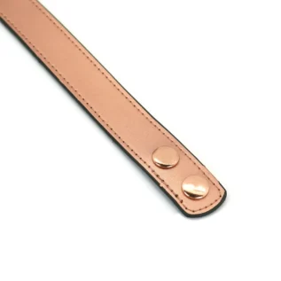 Нашийник із затискачами для сосків Liebe Seele Gold Memory Collar with Nipple Clamps 19 Нашийник із затискачами для сосків Liebe Seele Gold Memory Collar with Nipple Clamps - Зображення 6