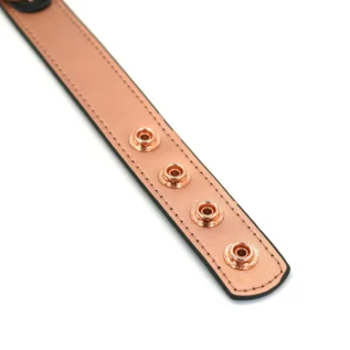 Нашийник із затискачами для сосків Liebe Seele Gold Memory Collar with Nipple Clamps 17 Нашийник із затискачами для сосків Liebe Seele Gold Memory Collar with Nipple Clamps - Зображення 4