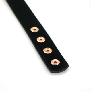 Нашийник із затискачами для сосків Liebe Seele Gold Memory Collar with Nipple Clamps 20 Нашийник із затискачами для сосків Liebe Seele Gold Memory Collar with Nipple Clamps - Зображення 7