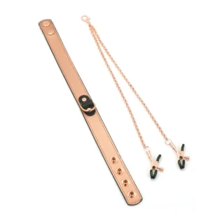Alternative view of Нашийник із затискачами для сосків Liebe Seele  Gold Memory Collar with Nipple Clamps