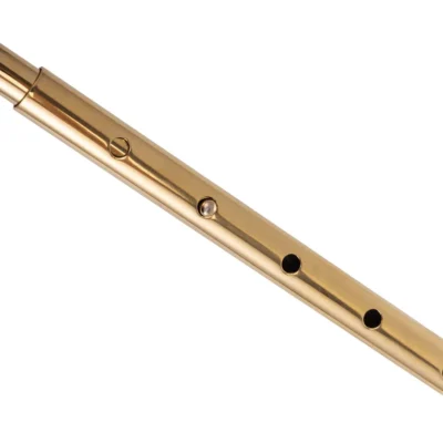 Зображення Анальний гак LOCKINK Golden Adjustable Anal Hook Set