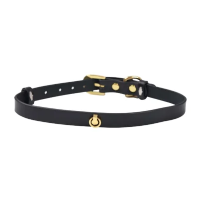 Сумка LOCKINK Detachable JK Bag For Sex Toy Storage & Bondage Play 19 Зображення Сумка LOCKINK Detachable JK Bag For Sex Toy Storage & Bondage Play