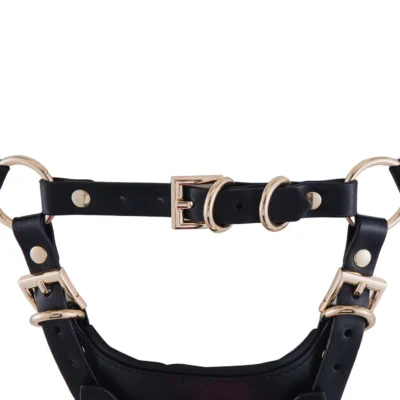 Зображення Страпон LOCKINK SEVANDA Queen Sheba Strapon - Golden Dildo