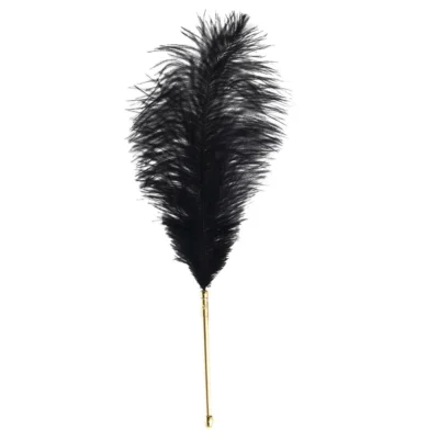 Лоскітка LOCKINK SEVANDA Natural Peacock Flirting Feather Tickler 13 Зображення Лоскітка LOCKINK SEVANDA Natural Peacock Flirting Feather Tickler