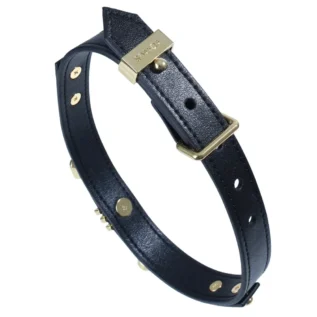 Нашийник LOCKINK Dark DIY Alphabet Collar 16 Зображення Нашийник LOCKINK Dark DIY Alphabet Collar