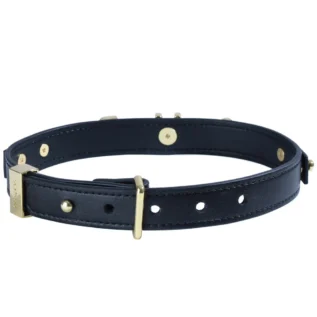 Нашийник LOCKINK Dark DIY Alphabet Collar 14 Зображення Нашийник LOCKINK Dark DIY Alphabet Collar