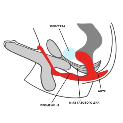 Зображення Анальна пробка з ерекційним кільцем Fun Factory BOOTIE RING slate