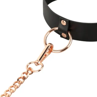 Нашийник з повідцем Rosy Gold - Collar with Leash 14 Нашийник з повідцем Rosy Gold - Collar with Leash - Зображення 6