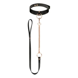 Нашийник з повідцем Rosy Gold - Collar with Leash