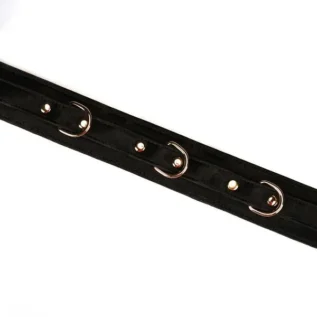 Нашийник з повідцем Liebe Seele Boudoir Amor Collar with Leash 13 Зображення Нашийник з повідцем Liebe Seele Boudoir Amor Collar with Leash