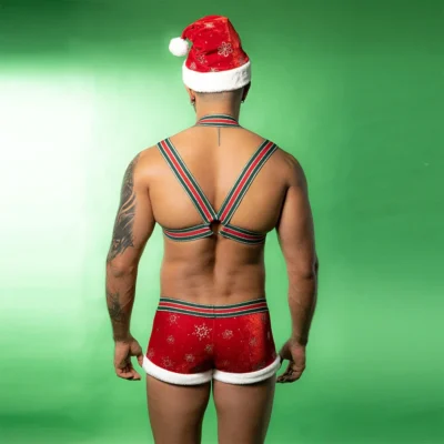Зображення Новорічний чоловічий еротичний костюм JSY 9133 One Size