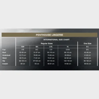Комплект сорочка у стилі 60-х та трусики з доступом Penthouse - Libido Boost 9 Комплект сорочка у стилі 60-х та трусики з доступом Penthouse - Libido Boost - Зображення 4