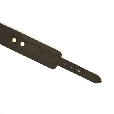 Зображення Нашийник з повідцем Liebe Seele Samurai Collar and Leash